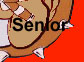 Enter Senior Year